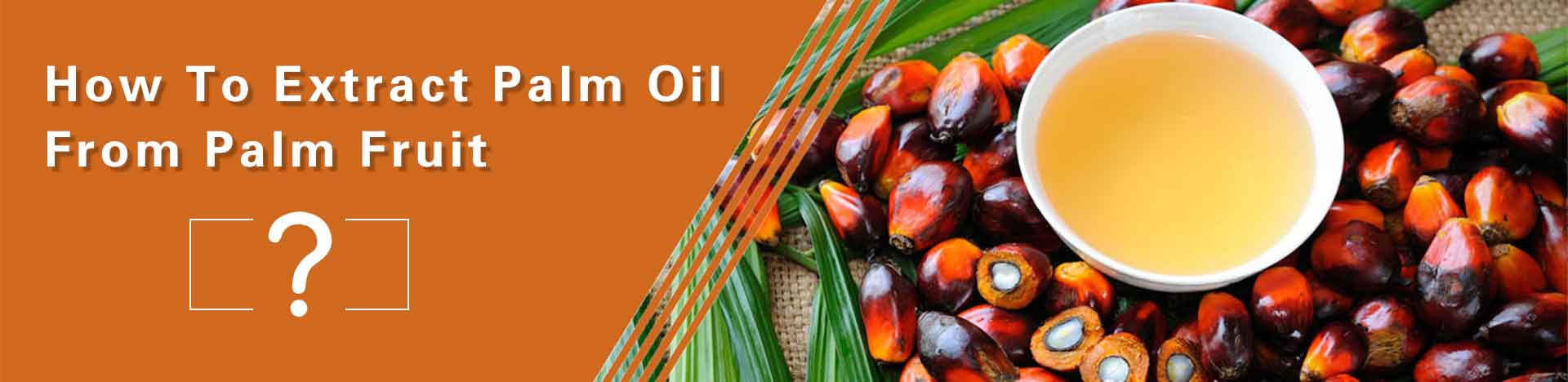 technologie d'extraction d'huile de palme