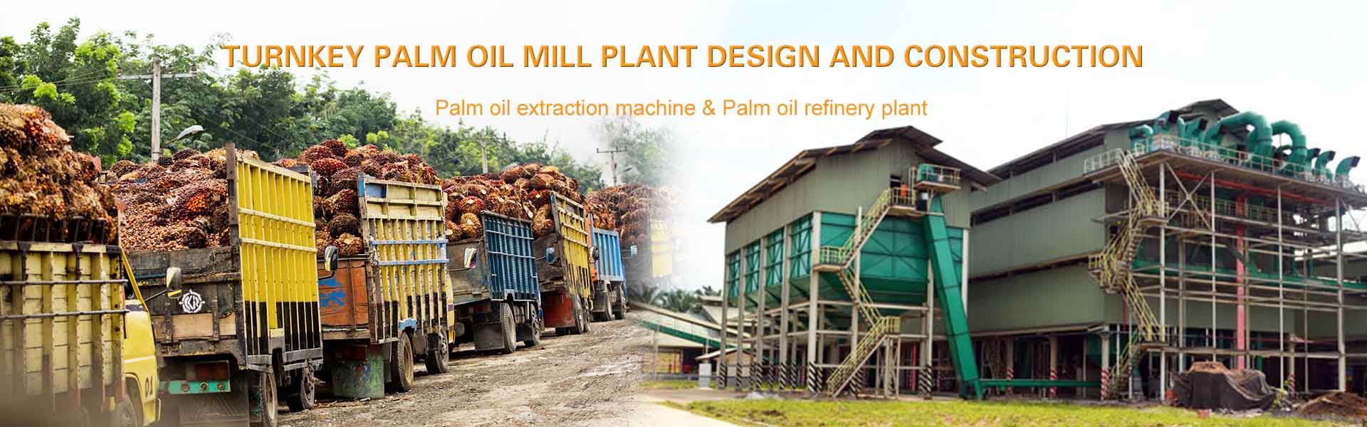 palm oil extraction machine