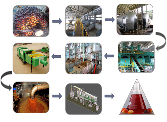 Crude palm oil making process