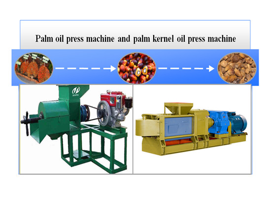 Palm kernel oil expeller