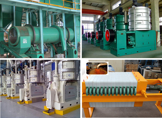 Nigeria customer buy palm kernel oil processing machine from Doing