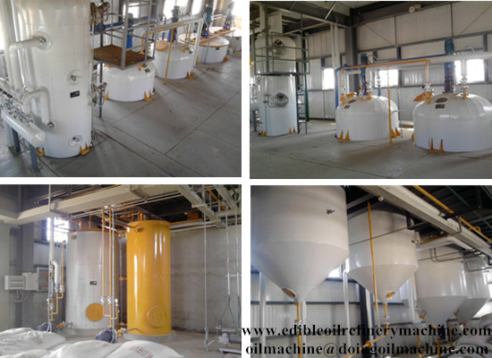 Palm kernel oil mill/palm kernel oil refining machine