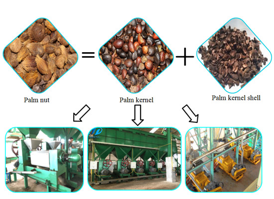 Palm kernel oil expeller