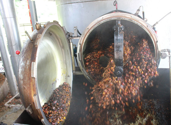 Crude palm oil extraction machine