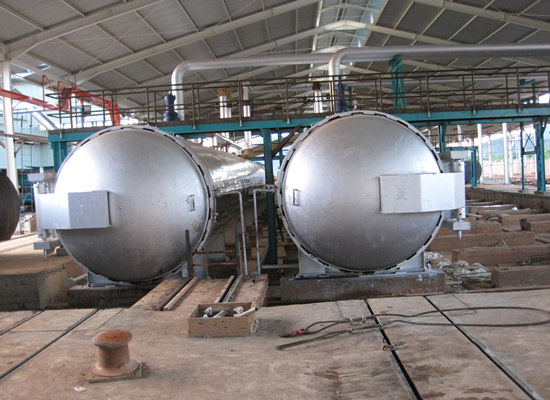 100 TPH Palm Oil Mill, Domestic Palm Oil Press