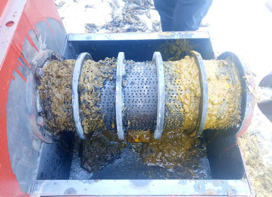 Vidéo de débogage de mini-presse à huile de palme