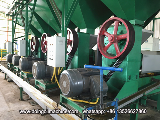 Professional palm kernel oil extraction machine