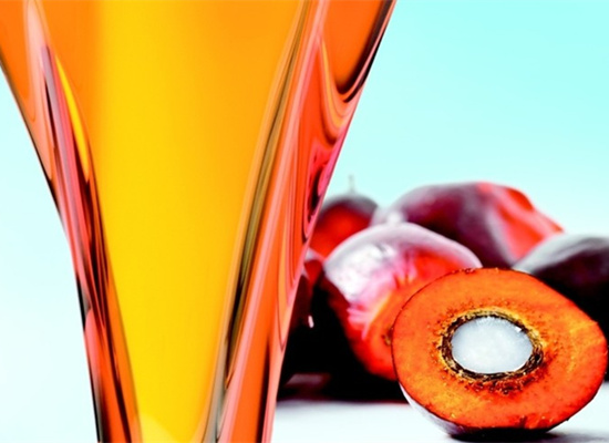 Palm oil processing plant in Ghana