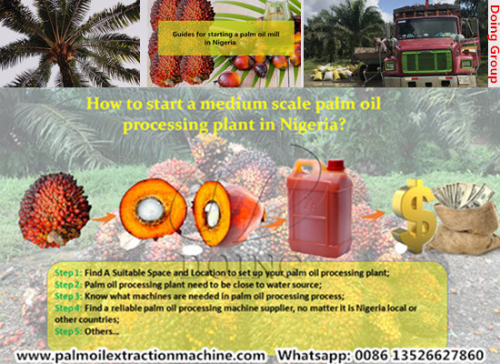 How to start a medium scale palm oil processing plant in Nigeria?