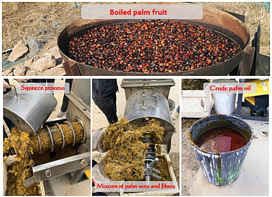 Small scale palm oil presser machine factory test running before delivery