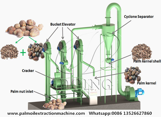 Palm kernel husking and separating system