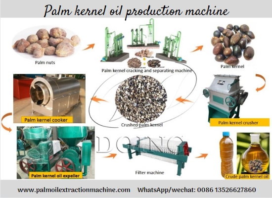 0,5-2tph Palm Kernel Oil pressing Line, Palm Kernel Oil Pressing Machine