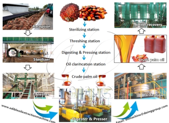 Large scale palm oil machine with capacity 60tph 80tph 100tph