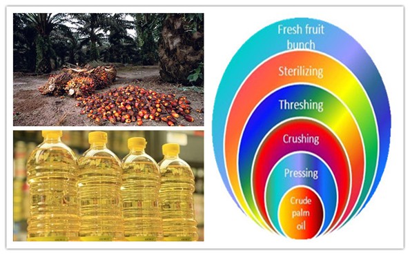 How is palm oil made detail?