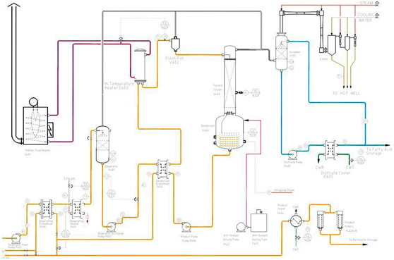 Palm oil physical refining process(2)