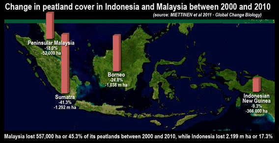 Indonesia to weaken peatlands to support plantations