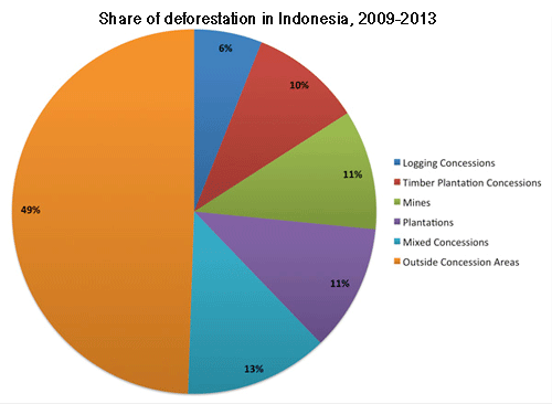 Half of Indonesia's deforestation occurs outside concession areas