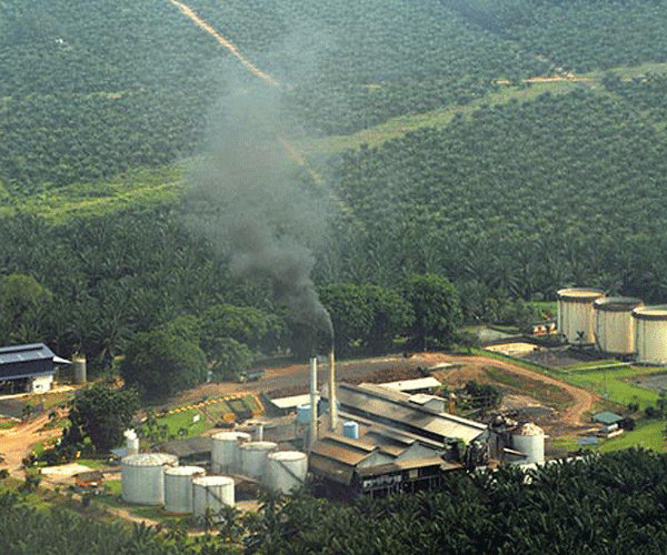 Malaysia Palm oil industry and national standard