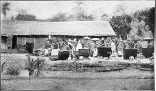 History of Production and Processing of Edible Oil in Nigeria