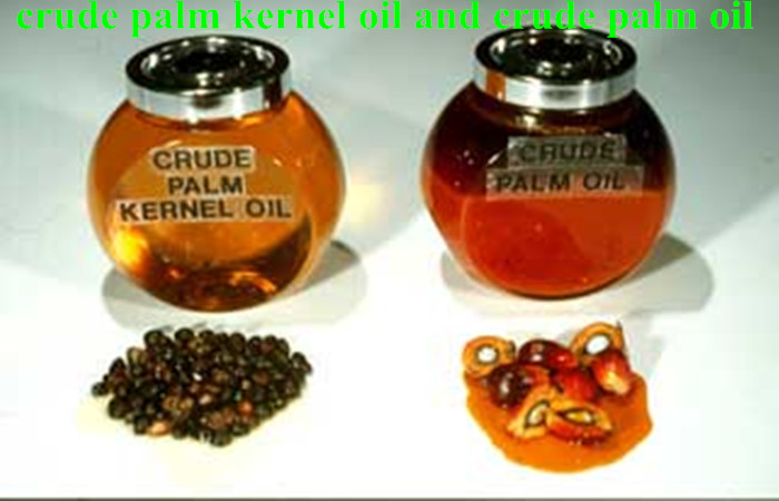 Research on benefits of red palm oil